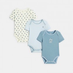 LOT 3 BODY US BOY EPERVIER