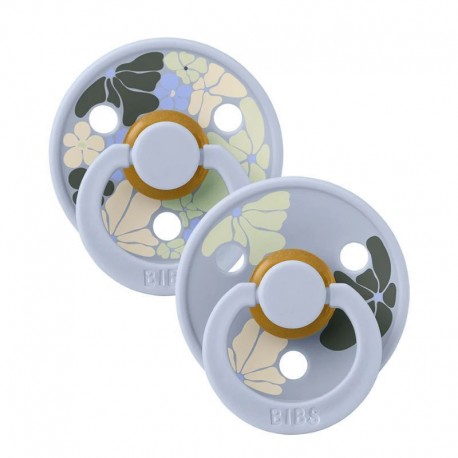 Πιπίλες Bibs® Colour Morning Bloom Dusty BL No1, σετ των 2
