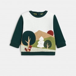 HORTENSIA SWEAT COL RD PAYSAGE